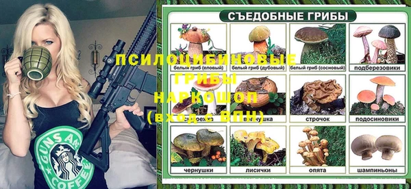 спиды Новокубанск